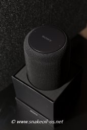 Sony LS-F50G Google Assistant