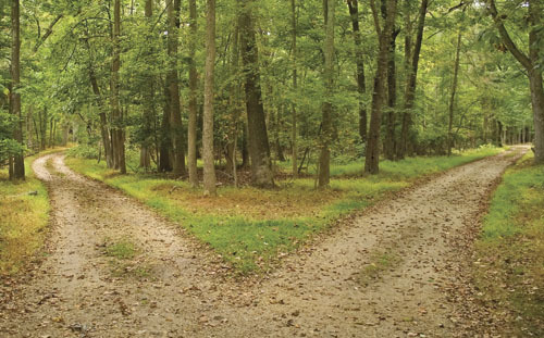 fork in the road