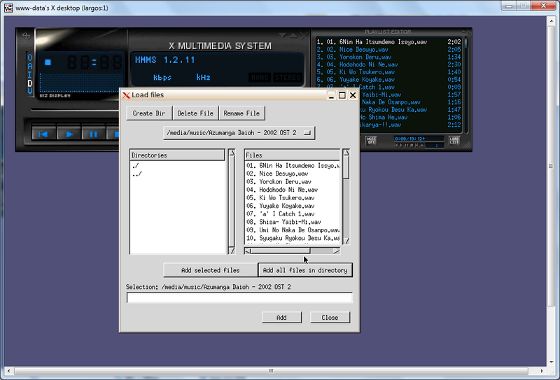File:Vnc-xmms-playlist.png